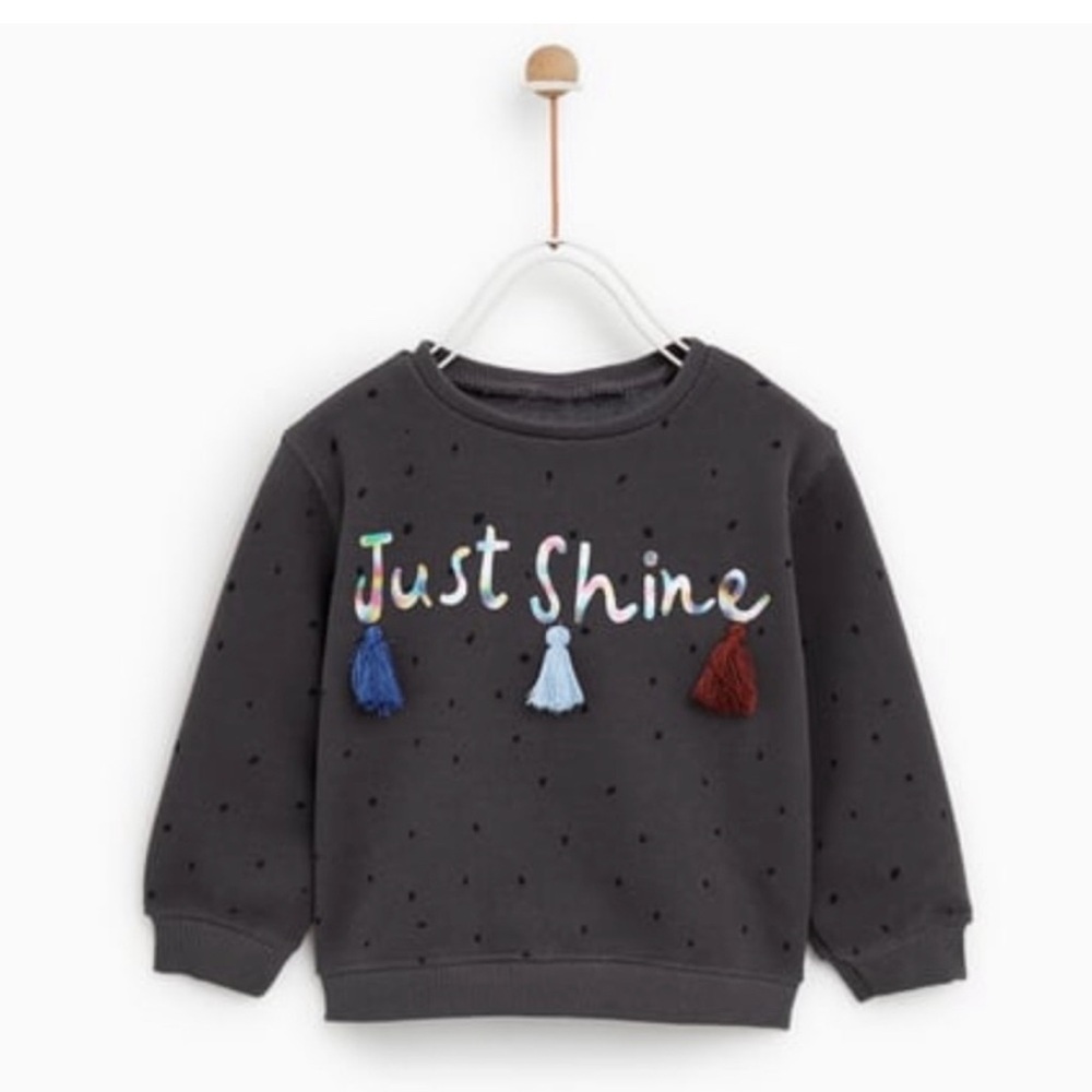 $15 ADD ON Zara Sweatshirt Dress Toddler Kids Just Shine Sweatshirt 3-4Y 3t 4T